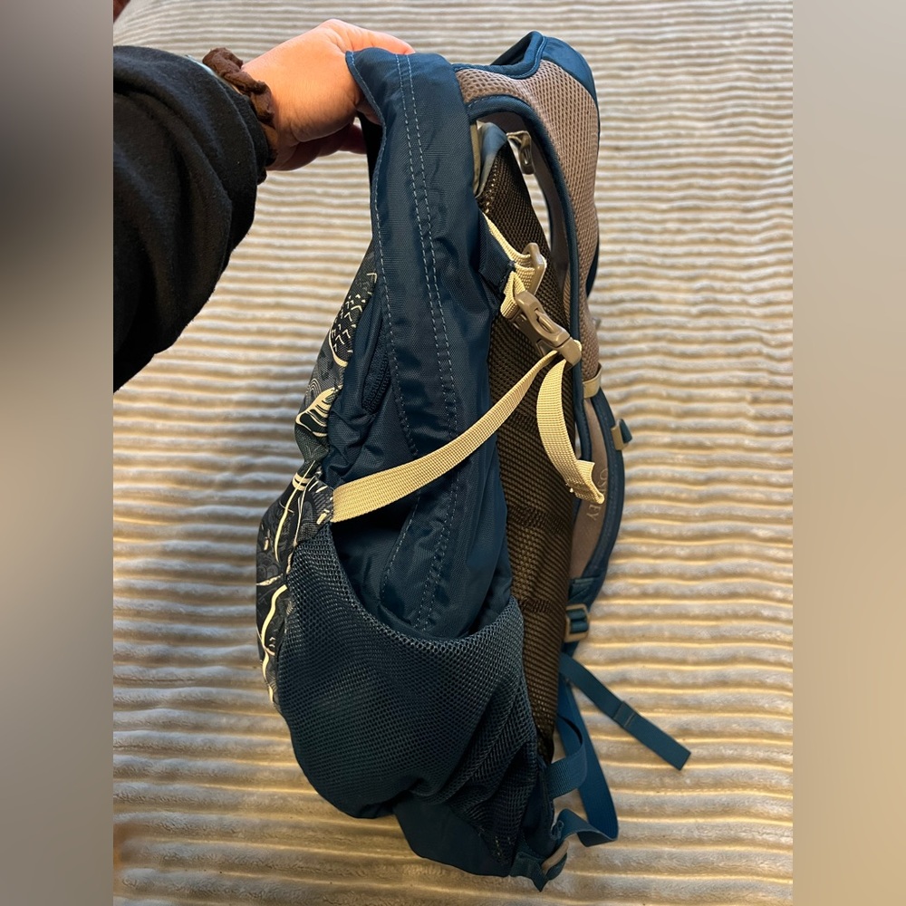 Osprey Daylite Backpack Limited Edition Blue Teal White Outdoors Nature Design - Picture 3 of 12